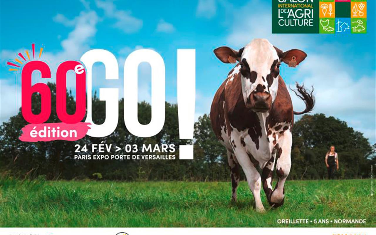 Photo Voyage autocar Hangard Voyages